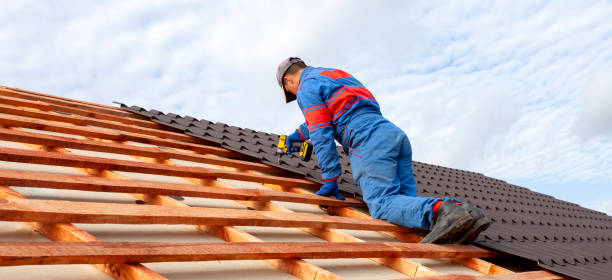 Best Sheet Metal Roofing  in Kenbridge, VA