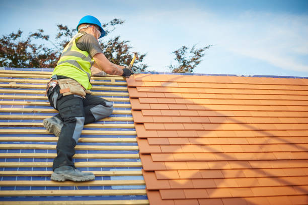 Best Siding  in Kenbridge, VA